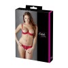 Soutien-gorge demi seins avec armatures et son string ouvert 