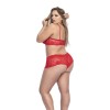 Ensemble lingerie, grande taille,  rouge top bustier et shorty dentelle   