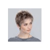 Perruque Chat — Collection Perucci Ellen Wille