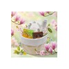 Box Spring – Coffret Beauté Naturelle & Bien-être Cosmétique naturel